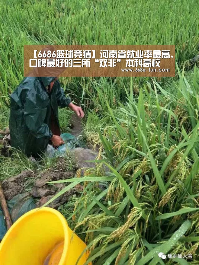 6686APP下载