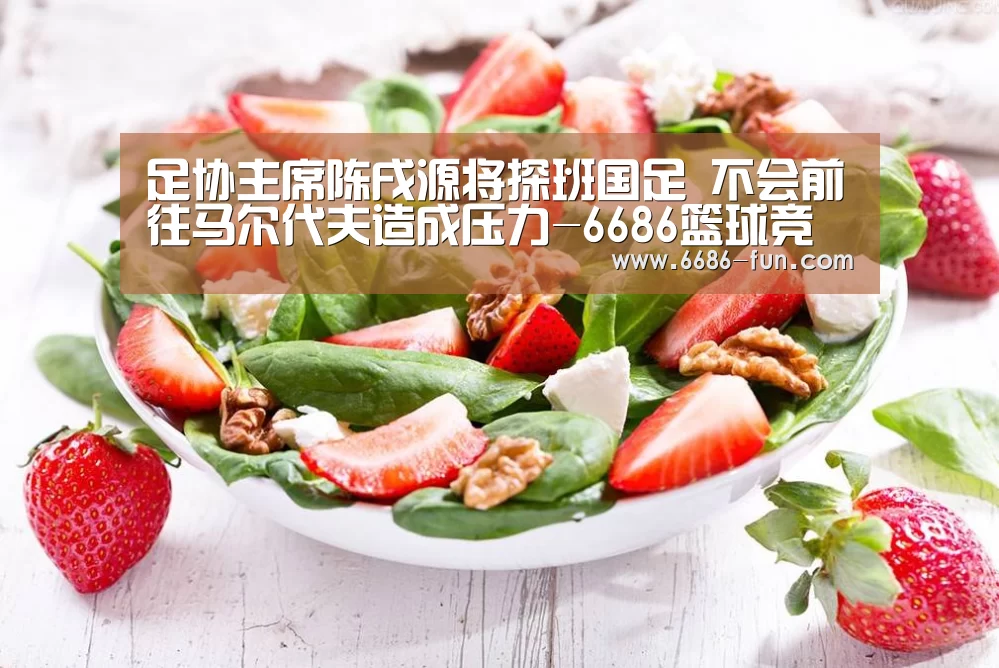 足协主席陈戌源将探班国足 不会前往马尔代夫造成压力-6686篮球竞猜(图2) 6686热门赛事