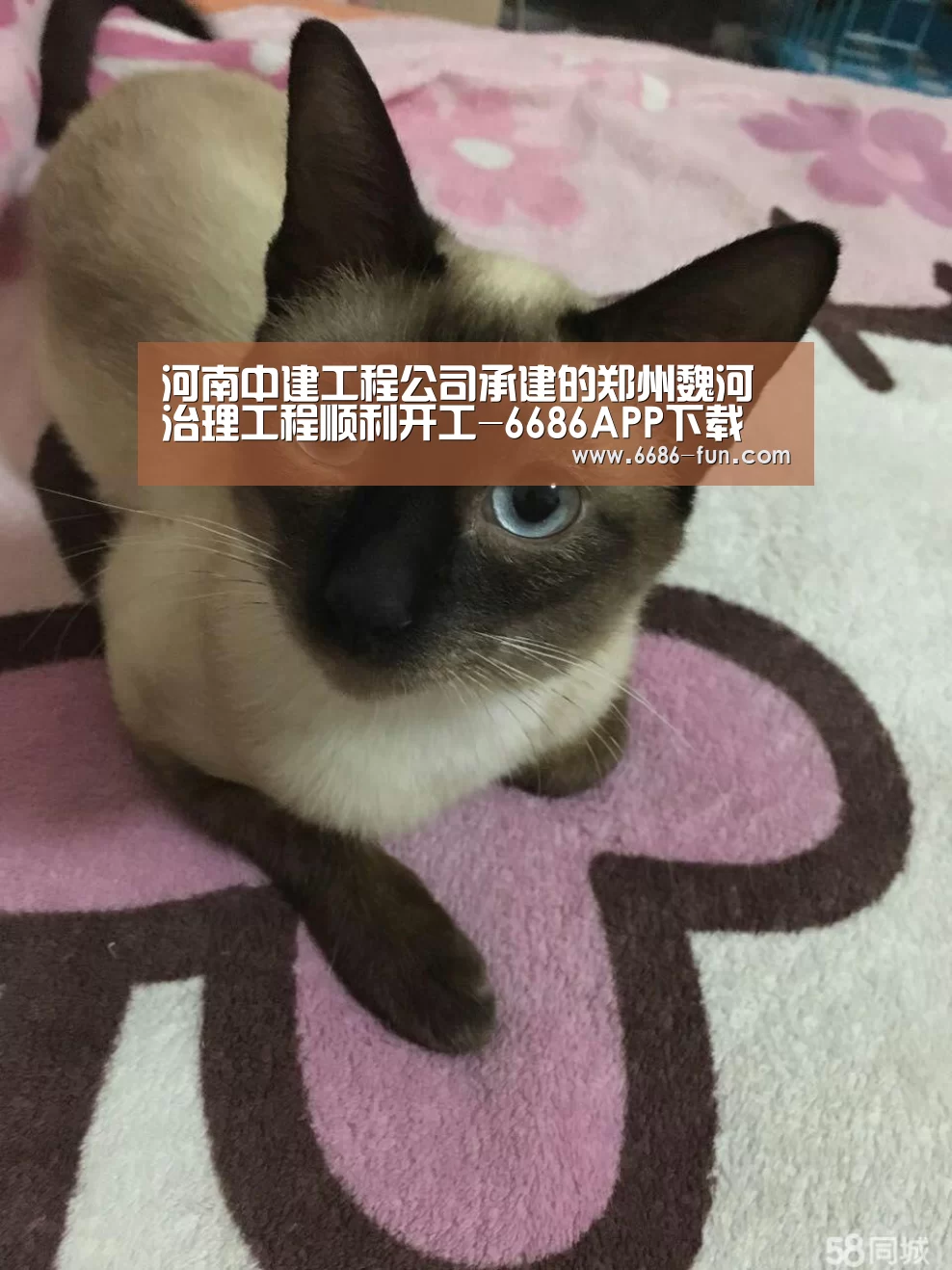河南中建工程公司承建的郑州魏河治理工程顺利开工-6686APP下载(图1) 6686APP下载
